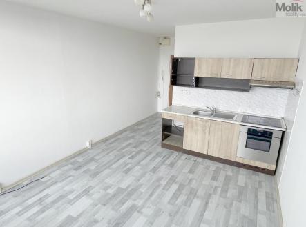 Prodej bytu, 1+kk, 22 m²