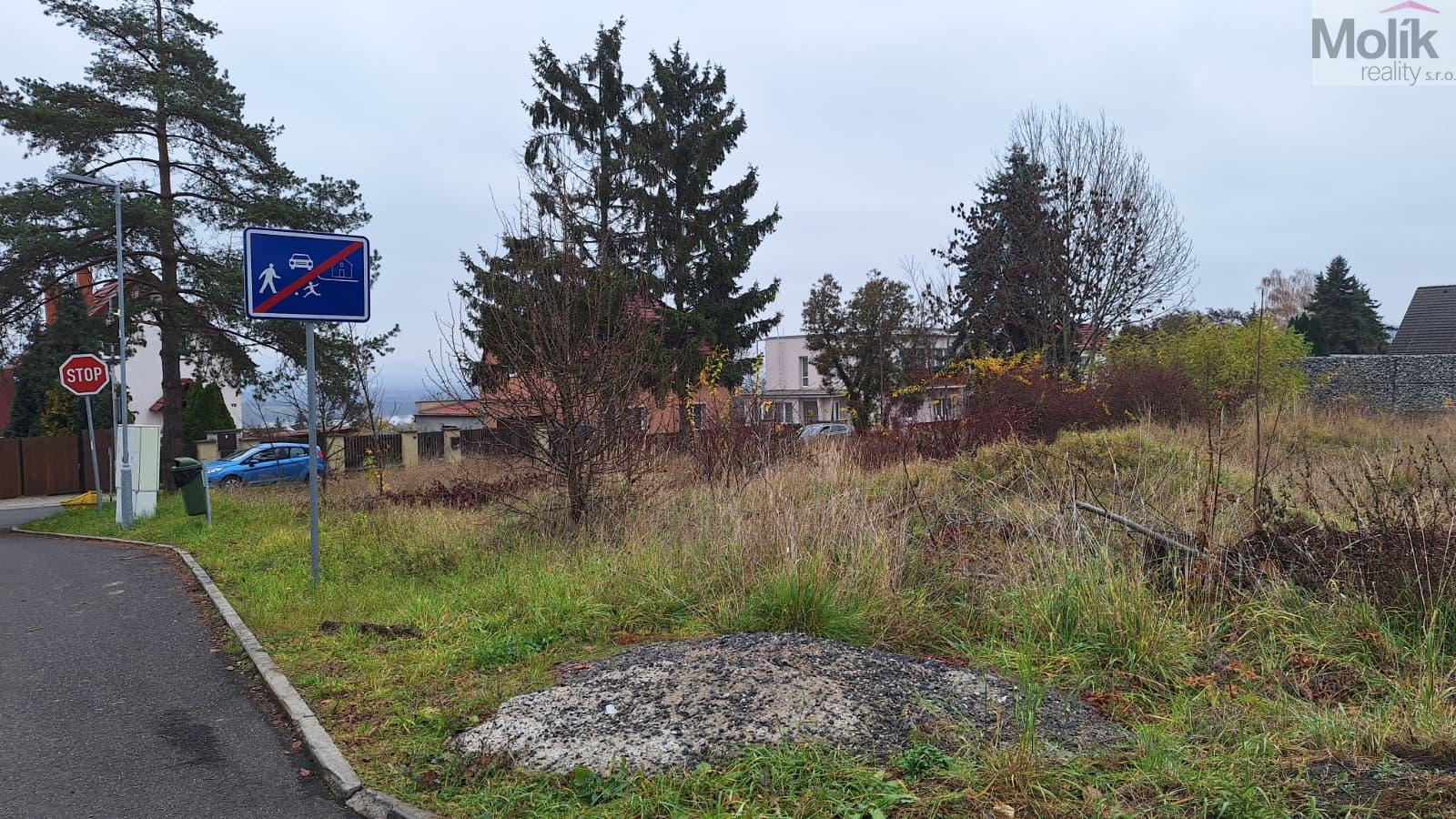 WhatsApp Image 2026-02-17 at 12.36.44.jpeg