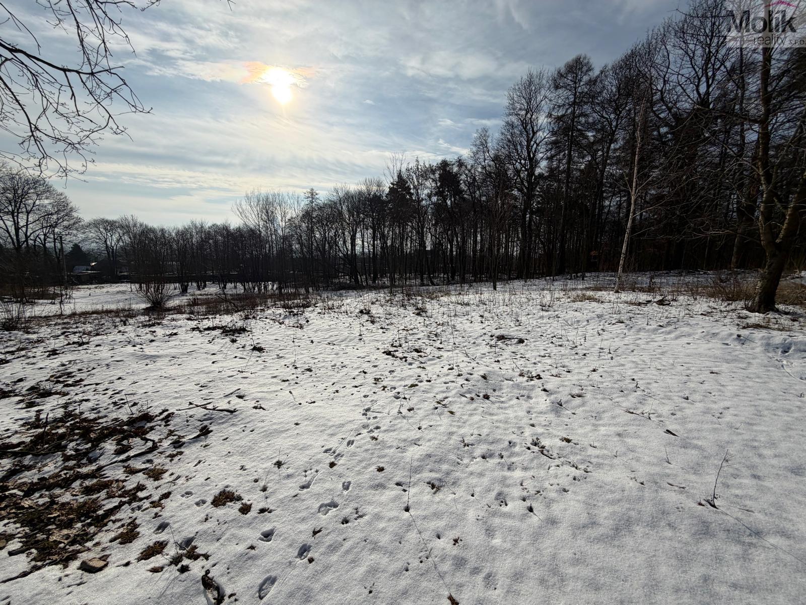 WhatsApp Image 2026-02-20 at 10.26.50 (5).jpeg