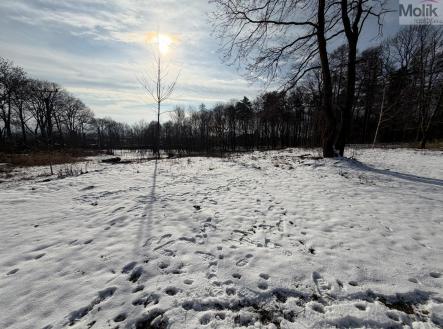 Prodej pozemku pro bydlení, 2 003 m²