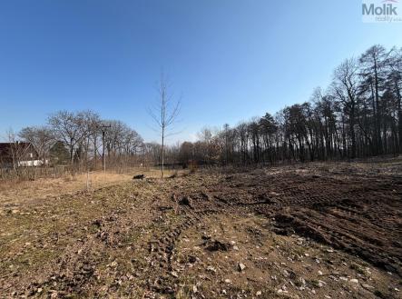 Prodej pozemku pro bydlení, 2 003 m²