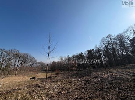 Prodej pozemku pro bydlení, 2 003 m²