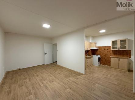 Pronájem bytu, 2+1, 53 m²