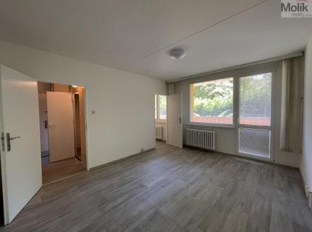 Pronájem bytu, 1+kk, 27 m²