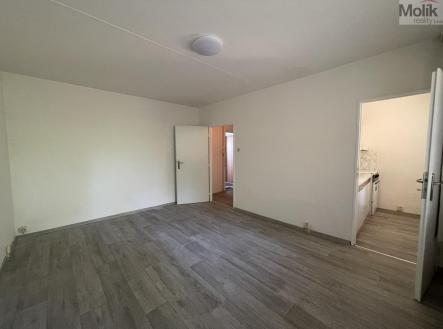Pronájem bytu, 1+kk, 27 m²
