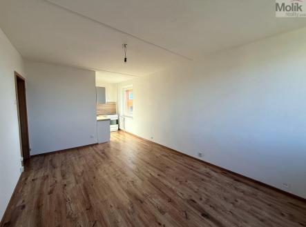 Pronájem bytu, 2+kk, 40 m²