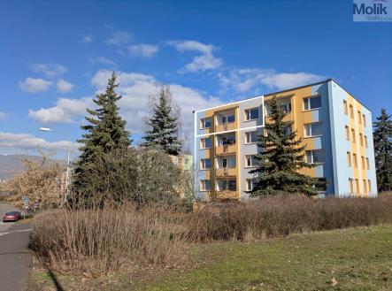 PXL_20260225_114350388.MP - 1.jpg