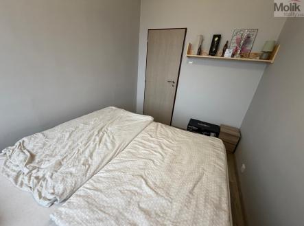 WhatsApp Image 2026-02-27 at 16.32.21 (14).jpeg