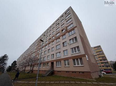 WhatsApp Image 2026-02-27 at 16.32.20.jpeg