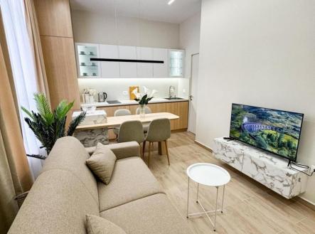 Orchid Casel de Paradise.