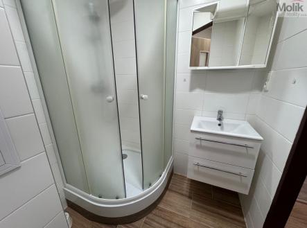 Pronájem bytu, 1+1, 26 m²