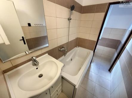 Pronájem bytu, 1+1, 33 m²