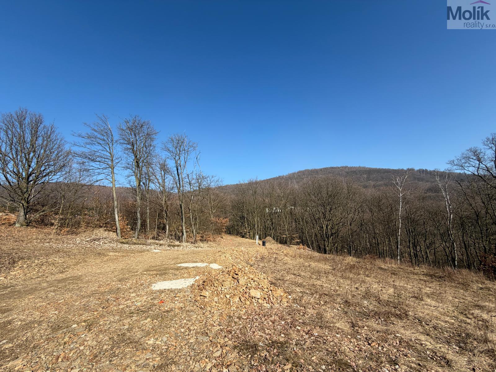 WhatsApp Image 2026-03-04 at 11.17.18 (3).jpeg