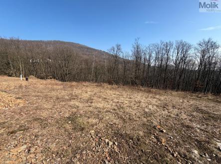 Prodej pozemku pro bydlení, 2 648 m²