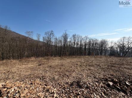 Prodej pozemku pro bydlení, 2 648 m²