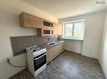 Pronájem bytu, 2+1, 59 m²