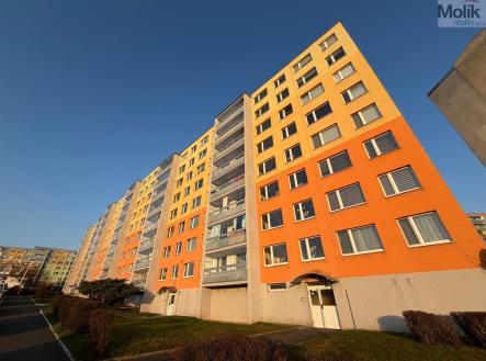 WhatsApp Image 2026-03-04 at 17.29.44.jpeg