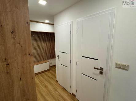 Pronájem bytu, 2+1, 54,6 m²