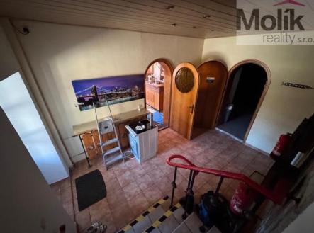 Prodej penzion, 1 753 m²