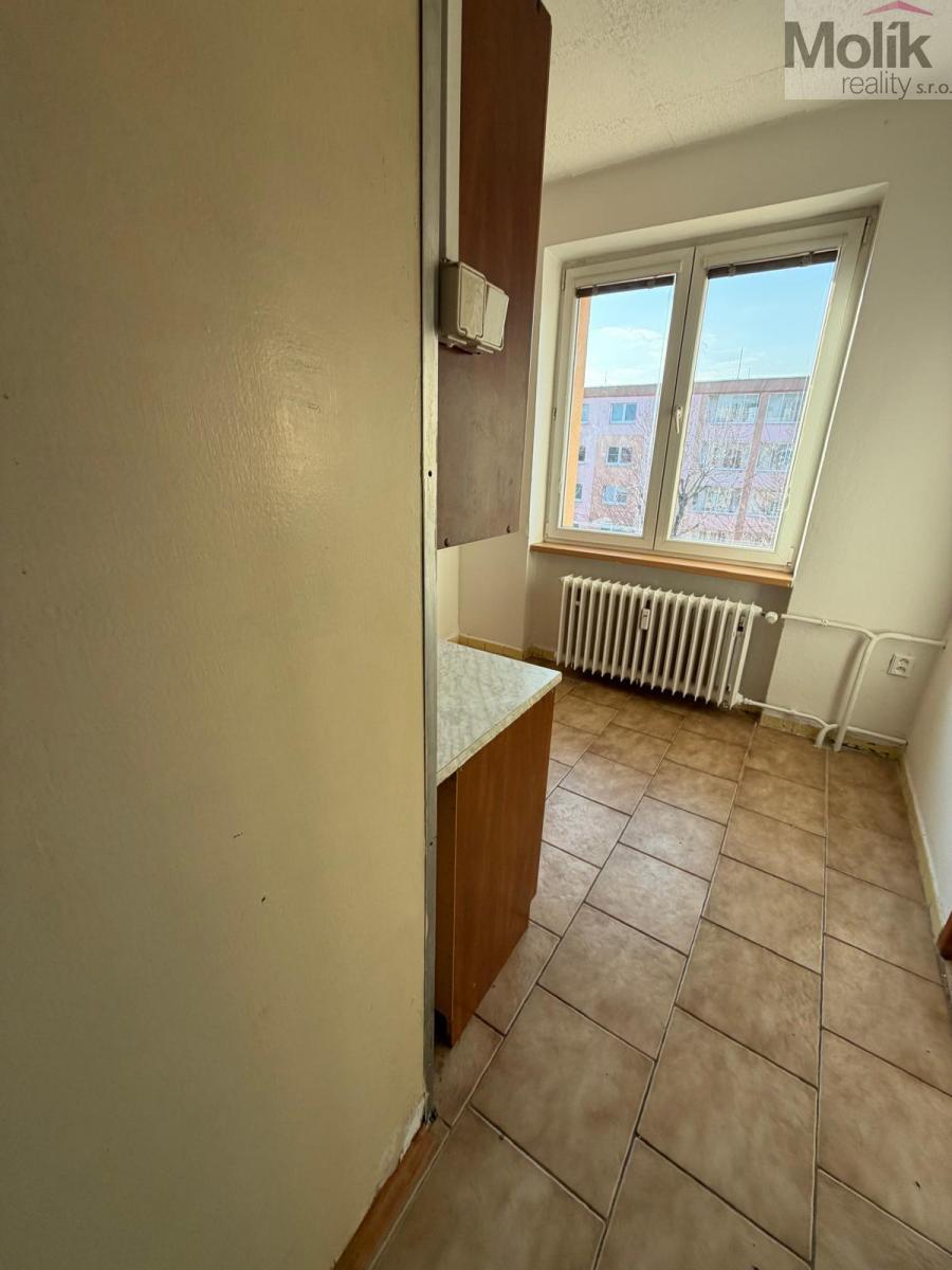 WhatsApp Image 2026-03-04 at 15.59.32 (15).jpeg