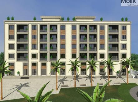 Orchid Casel de Paradise.