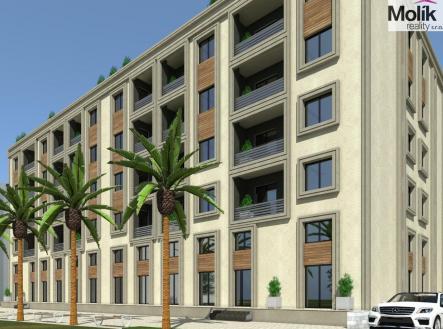 Orchid Casel de Paradise.