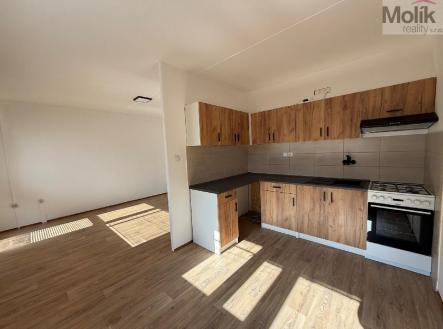 Pronájem bytu, 3+1, 55 m²