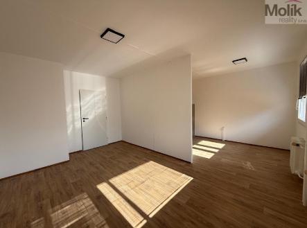 Pronájem bytu, 3+1, 55 m²