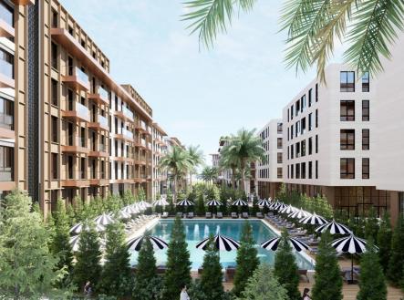 Orchid Casel de Paradise.