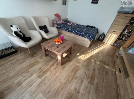 Prodej bytu, 1+1, 27 m²