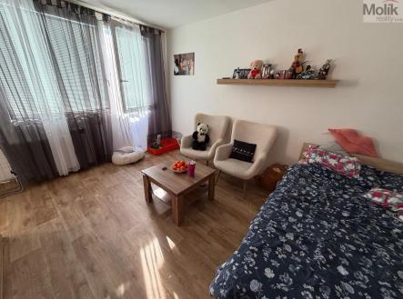 Prodej bytu, 1+1, 27 m²