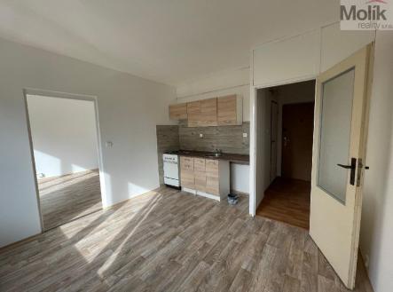 Pronájem bytu, 1+1, 35 m²