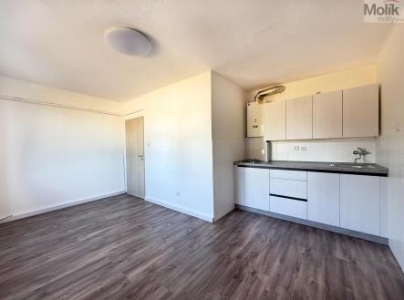 Prodej bytu, 2+kk, 35 m²
