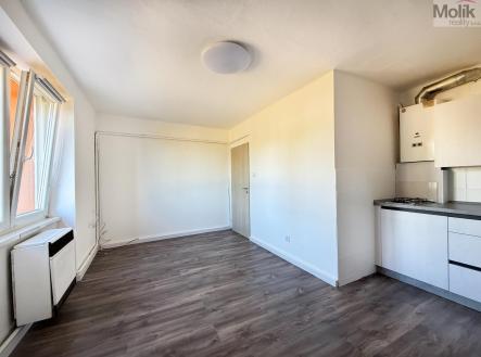 Prodej bytu, 2+kk, 35 m²