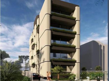 Orchid Casel de Paradise.