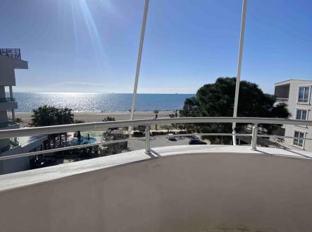 Orchid Casel de Paradise.