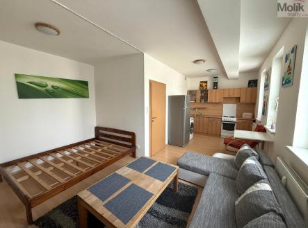 Pronájem bytu, 1+kk, 32 m²