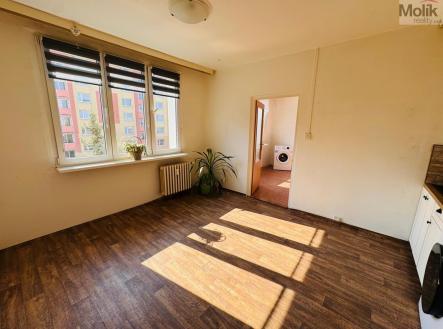 Prodej bytu, 2+kk, 34 m²