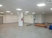 Pronájem obchodní prostor, 172 m²