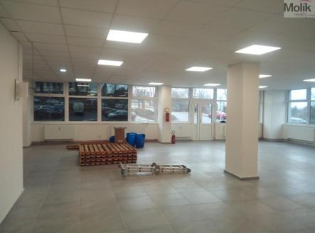 Pronájem obchodní prostor, 172 m²