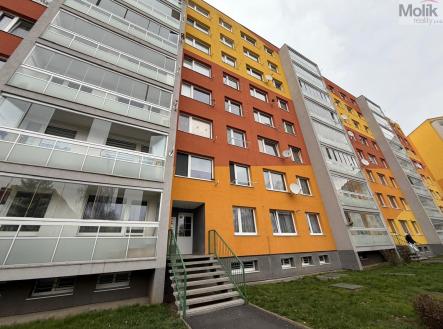 WhatsApp Image 2026-03-20 at 14.58.48.jpeg