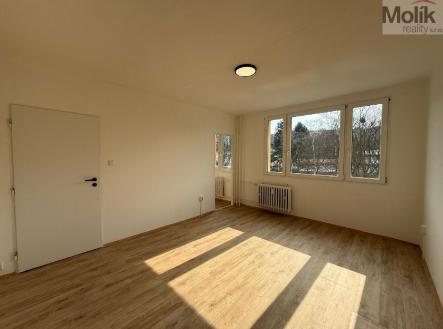 Pronájem bytu, 1+1, 27 m²