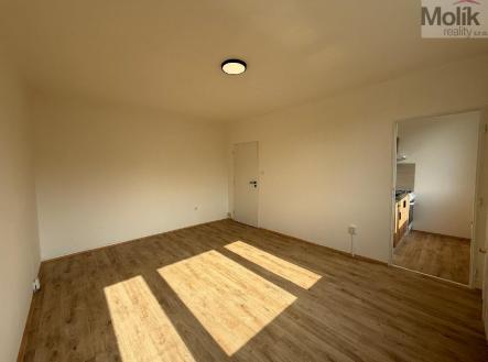 Pronájem bytu, 1+1, 27 m²