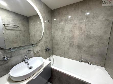 Pronájem bytu, 3+1, 64 m²