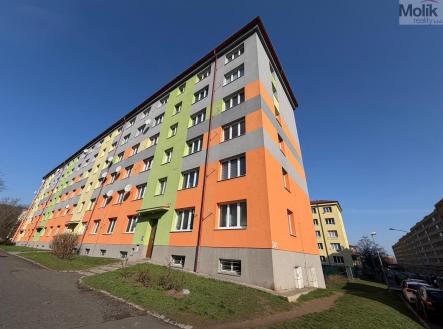 WhatsApp Image 2026-03-22 at 09.21.29 (3).jpeg