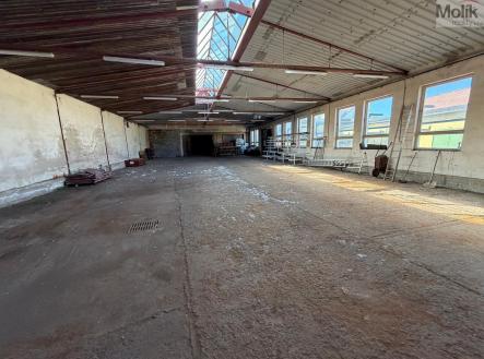 Pronájem výrobní prostory, 1 532 m²