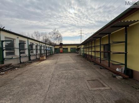 Pronájem obchodní prostor, 1 532 m²