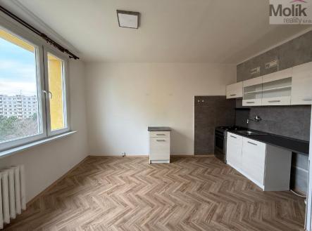 Pronájem bytu, 1+1, 35 m²