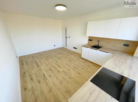 Pronájem bytu, 3+kk, 52 m²