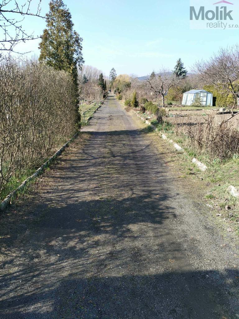 Messenger_creation_B89323CA-F192-431A-B3D7-DAE2948F39FA (1).jpg